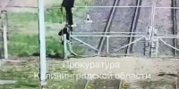 Прокуратура направила в суд дело о попытке трёх иностранцев незаконно пересечь границу в Мамоново - KaliningradToday.Ru