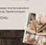 Ставропольские библиотеки в соцсетях за июнь опубликовали более 2000 постов - Вечерний Ставрополь