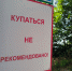 Безымянное покинуло чат. Роспотребнадзор одобрил только 8 пляжей для купания в Ленобласти и Петербурге - 47 новостей