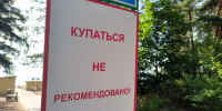 Безымянное покинуло чат. Роспотребнадзор одобрил только 8 пляжей для купания в Ленобласти и Петербурге - 47 новостей