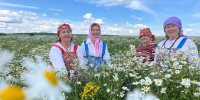 Лето в ситцы разодето, разнотравье кругом! - Нацпарк Чаваш вармане