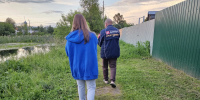 Забор из профлиста - прошлый век: есть более красивый и надежный способ отгородиться от соседей - Prochepetsk.ru