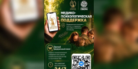 Единый федеральный чат психологической помощи КСВО появился в ВК - Новгородское областное телевидение
