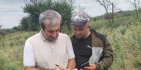 Лесопоталогия Кизляр - Комитет по лесному хозяйству