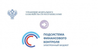 Информация по направлению деятельности организационно-аналитического отдела. - УФК по Республике Коми