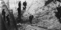 «Что бы сегодня сделал со своим внуком фронтовик Семен Иванович Зеленский?» — Киев решил выкопать еще и Коновальца - Столица С