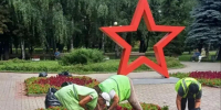 В Курске ежедневно проводятся мероприятия по озеленению. - Город Курск