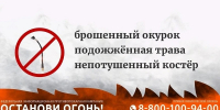 Жителям Поморья напоминают о необходимости соблюдать правила безопасности в лесном фонде - Сетевое издание Коноша29