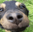 Фото donnews.ru - DonNews.Ru