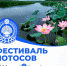 Фестиваль лотосов — одно из самых ярких событий летнего туристического сезона в Калмыкии! - Правительство РК