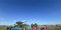Дамбу в Крымском районе залатают к осени: глава МЧС края рассказал о причинах прорыва - Itar-TassKuban.Ru