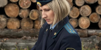 Вологодские судебные приставы взыскали  более 1,1 миллиона рублей  за незаконную вырубку леса - УФССП