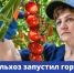 Круглосуточная горячая линия Минсельхоза по вопросам топлива - Администрация Ейского района