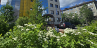 В выходные в Заполярье от +7° до +21° - SeverPost.ru