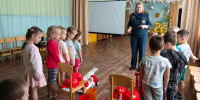 17.07.2026 | «Огонь — друг и враг»: в Ржевском округе дошколята учатся пожарной безопасности - Главное управление по архивному делу