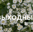 Тагильские выходные, топ-6: байк-фестиваль, автогонки на парковке и финал Чемпионата мира по футболу - Между Строк