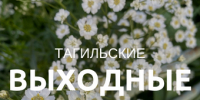 Тагильские выходные, топ-6: байк-фестиваль, автогонки на парковке и финал Чемпионата мира по футболу - Между Строк