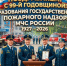 ОНД и ПР по г.о. Ступино - Городской округ Ступино