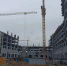 кампус - Новый Компаньон