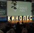 Как проходит фестиваль «Кинолес» на берегу Финского залива - Петербургский дневник