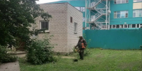 За неделю на территориях городских общественных пространств покошено более 12 га травы. - Город Курск