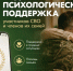 В едином федеральном чате работают опытные медицинские и клинические психологи. - Новгородские Ведомости