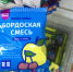 Как я за 1000 ₽ обновила сад: 8 находок из Fix Price — от светящегося грибка до кашпо «Мистер Крутой», соседи в восторге - Город Киров