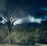 Фото: pixabay.com | «В августе будет полная жесть». Синоптики сказали, к чему надо готовиться - PrimPress.Ru