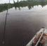 Каждый рыбак хоть раз сталкивался с этим непонятным и раздражающим «явлением» - 53news.Ru