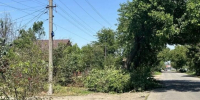 Кубаньэнерго расчистили 8,5 га охранных зон воздушных ЛЭП - News.Belora.Info