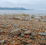 В Магадане +11, +15°C, пасмурно - Газета Магаданская правда