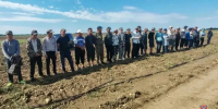 Под Волгоградом полиция доставила с полей в райотдел 26 мигрантов - Комсомольская Правда
