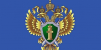 Холмчанка избила землячку и получила штраф - News.Astv.Ru