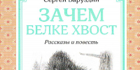 Сергей Баруздин: писатель нашего детства - Библиотеки Миасса
