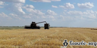 Нажмите для предварительного просмотра изображения - Быково-медиа