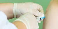 Омская область наконец-то получит вакцину от клещевого энцефалита - ИА Новый Омск