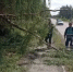 Продолжаем приводить обочины городских дорог в нормативное состояние - Кувандыкский городской округ