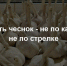 Перестала гадать, когда убирать чеснок: разрезаю головку - и все вижу с первого взгляда. Делюсь методом - Prochepetsk.ru