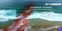 Серферы спасли восемь человек из отбойного течения в Приморье - ГТРК Владивосток