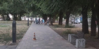 3 грузовика и упавший с моста джип: под Волгоградом фура протаранила эвакуатор - Волжская правда
