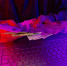 Новости Черинфо - Администрация г.Череповец