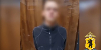 Жителя Ярославской области задержали за хранение дома конопли - Ярославский регион