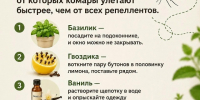Надоели химикаты? - Центр соцобслуживания населения
