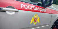 Более 70 административных правонарушений пресекли росгвардейцы в Калужской области за неделю - Росгвардия