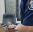 Суд оставил в силе приговор мужчине, разославшего интимные фото и видео экс-жены - SevastopolMedia