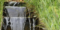 Поток туристов в заповедные места Оренбуржья летом удваивается - Газета Оренбуржье