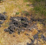 Тряпки и булыжники: 60 кг мусора достали из канализации в Волгограде - Газета Городские вести