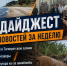 Пятна нефти в Таганрогском заливе, громкие приговоры, эвакуация хутора из-за авиабомбы: главные новости Ростовской области за неделю - Bloknot-Rostov.Ru