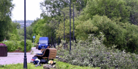 В североморском парке обрезают деревья - SeverPost.ru