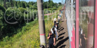 Пассажирам электрички до Луги пришлось пересаживаться в «Ласточку» - 47 новостей